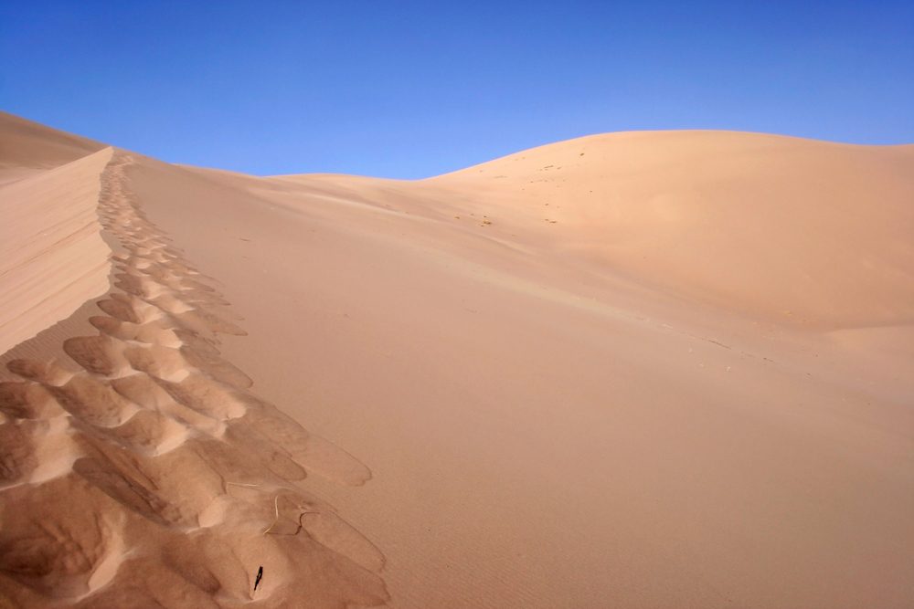 Gobi Gurvansaikhan National Park (Official GANP Park Page)